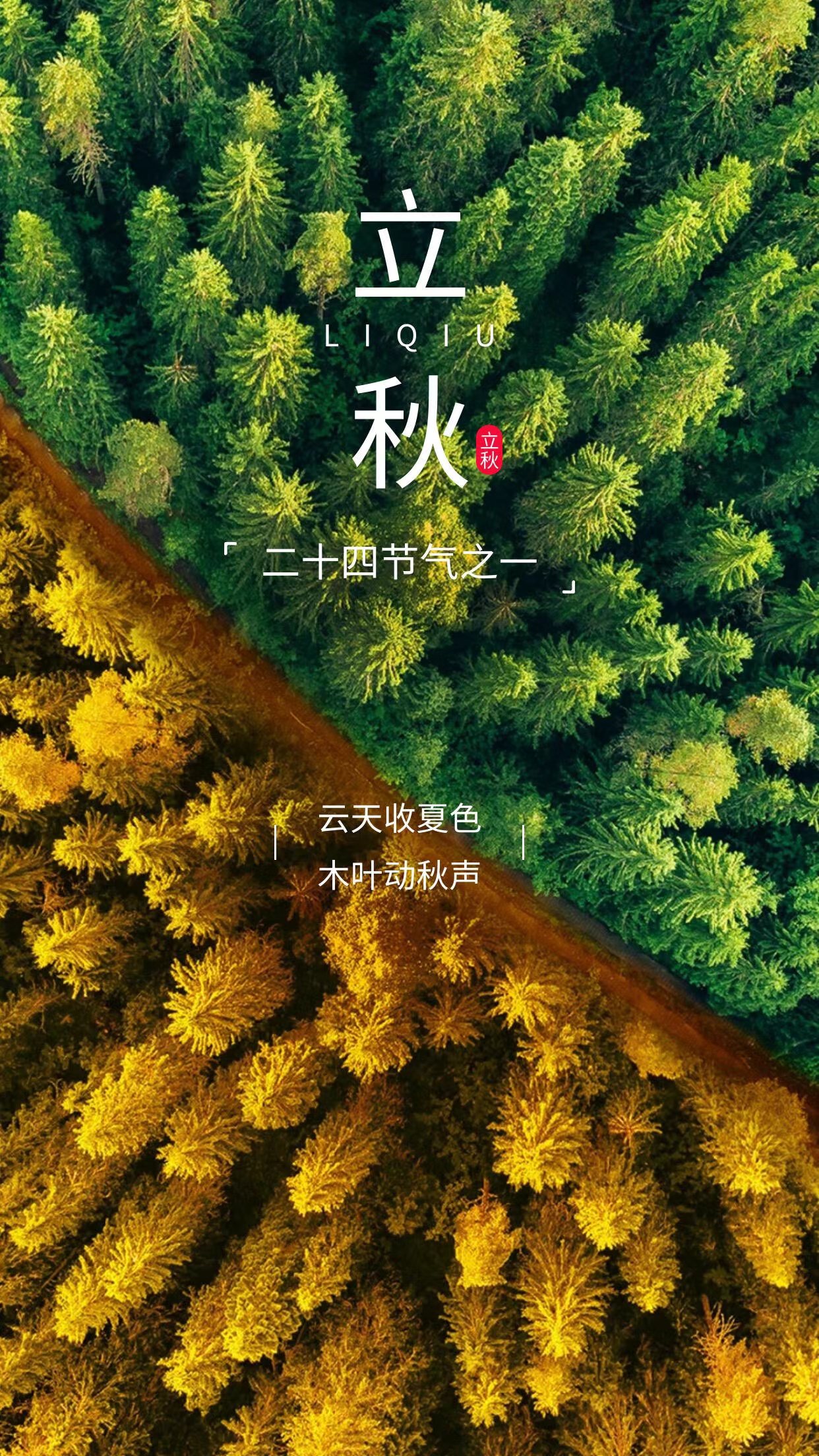 立秋时节咋养生：因人而异适当补 伏天晒背有讲究